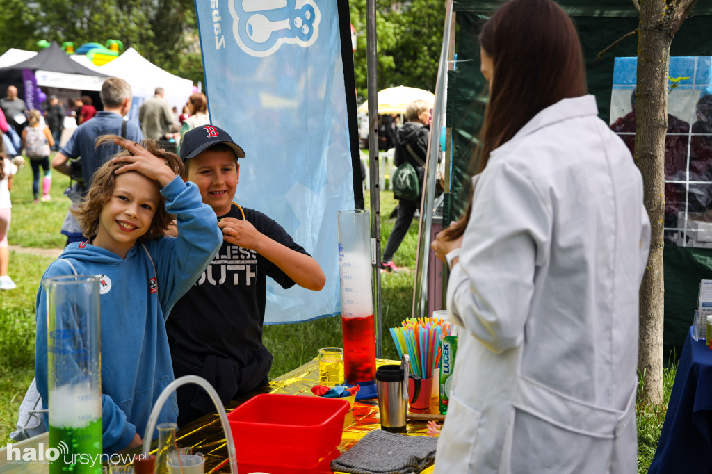 Piknik na Olkówku 2026