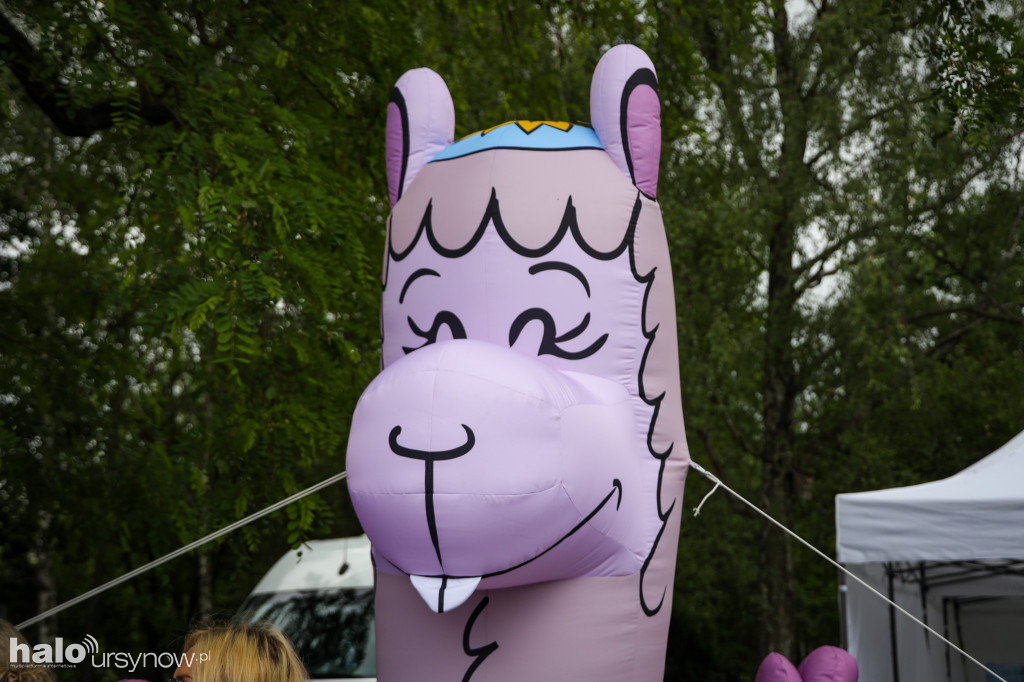 Piknik na Olkówku 2026
