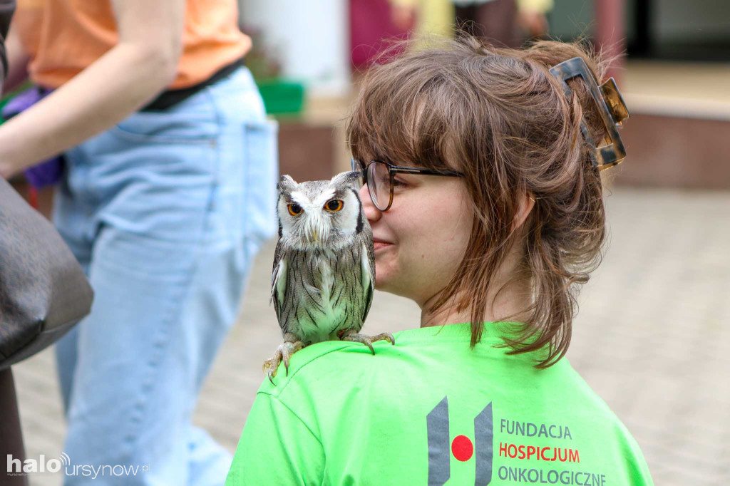 Piknik Odczarowanie Hospicjum 2026