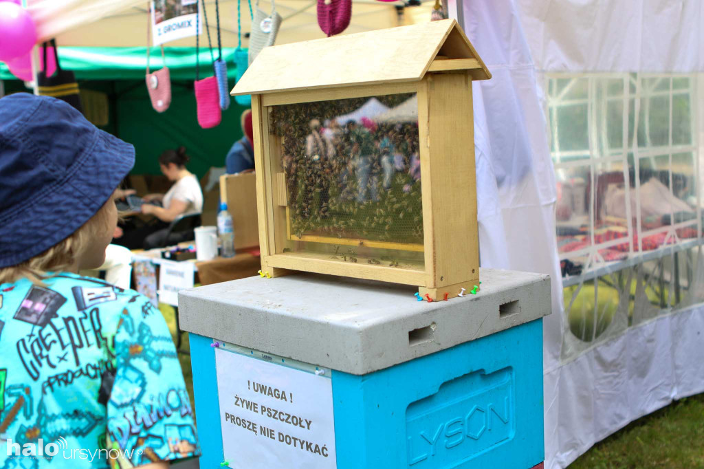 Piknik Odczarowanie Hospicjum 2026