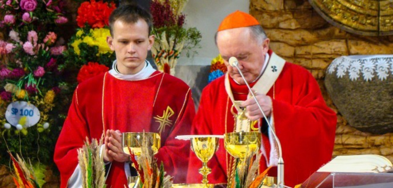 Niedziela Palmowa. Kardynał Nycz na Ursynowie