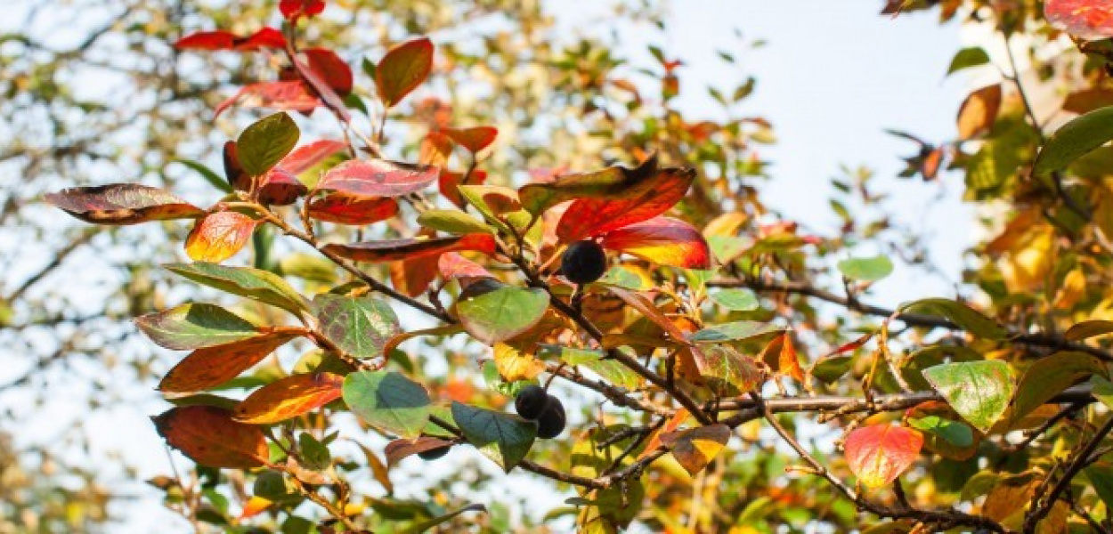 Jesień. Ach to Ty? FOTO