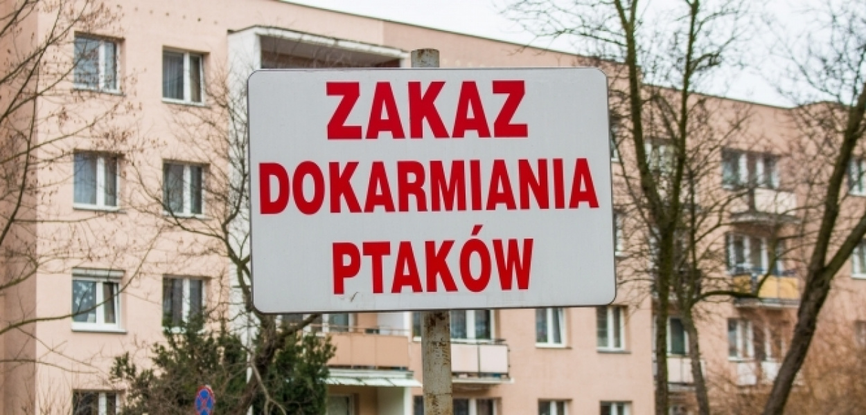 SK