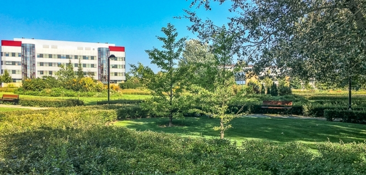 Orzech od Jerzego Waszyngtona, czyli spacer po kampusie SGGW