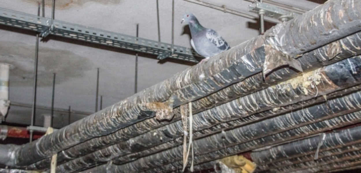 Parking jak z koszmaru! Sanepid: Nie spełnia standardów sanitarnych