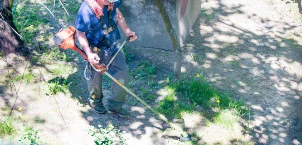 Koszenie trawy jak w "Dniu Świra". Dlaczego zawsze rano?