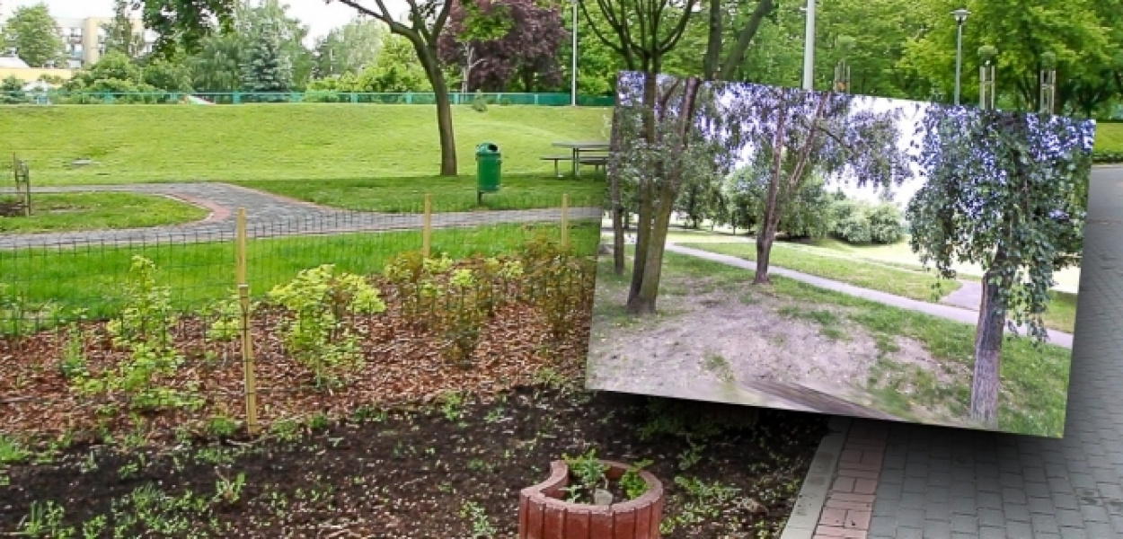 Skwer OdNowa! Dzięki sąsiadom okolica zmieniła się nie do poznania VIDEO