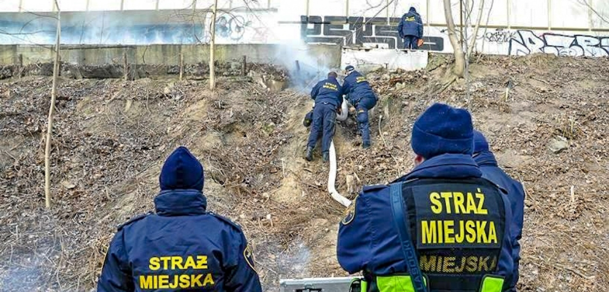 Straż Miejska