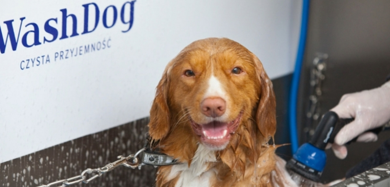 KONKURS. Zadbaj z Wash Dog o czystość swojego psa!
