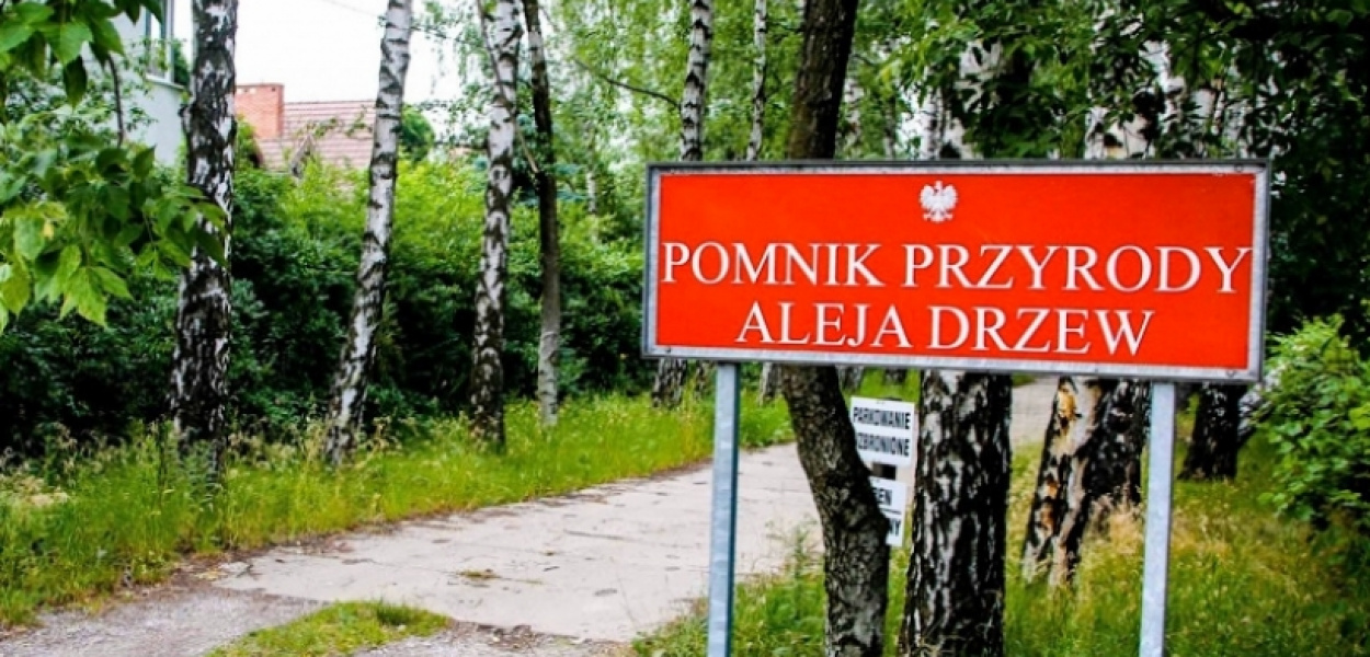 SK