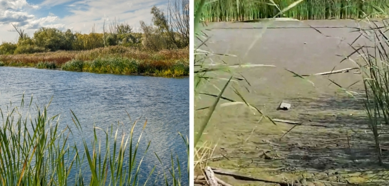 Urząd Dzielnicy Ursynów/KT