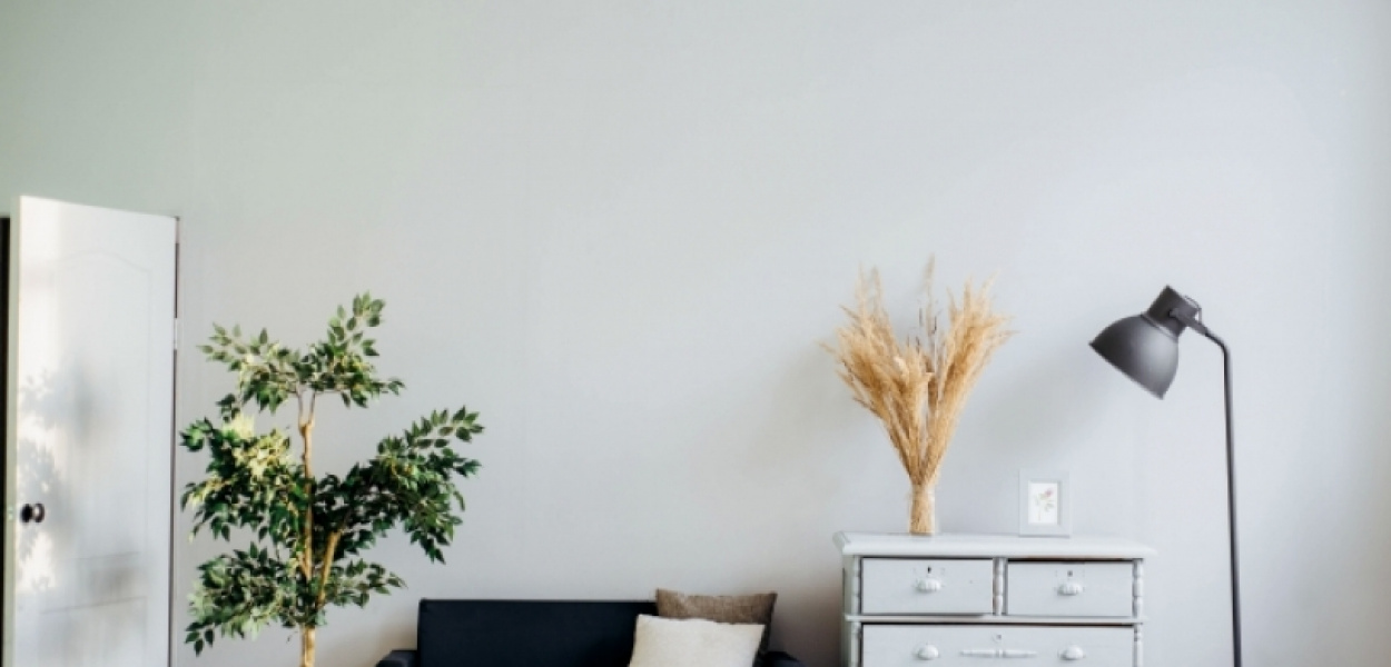 Pluskwa domowa - skąd się bierze i jak z nią walczyć?