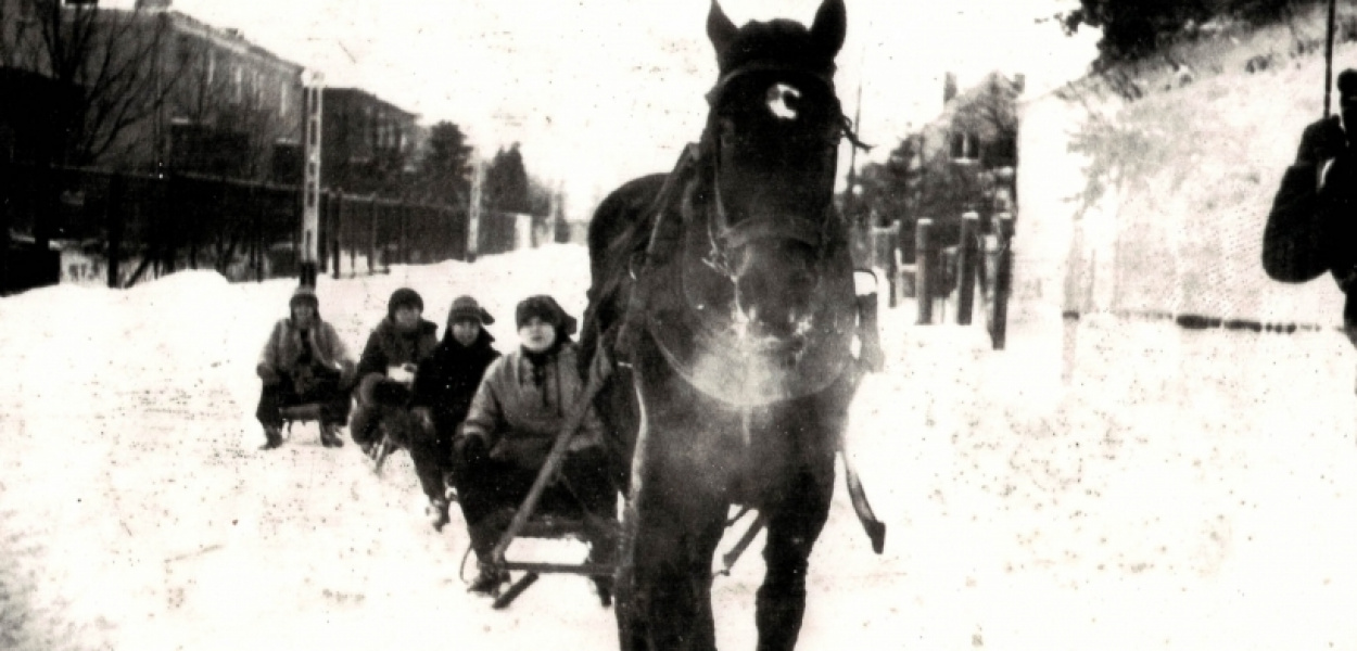 fot. z wystawy "Zielony Ursynów wczoraj i dziś"