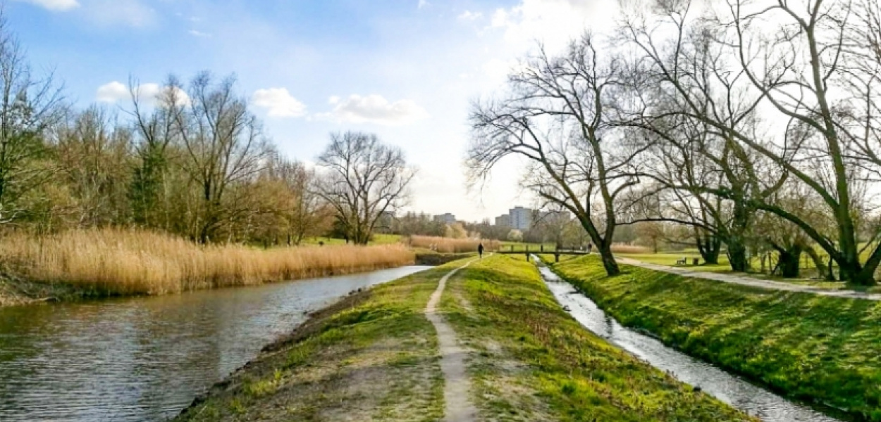 "Smródka" to kiedyś była Sadurka. O potoku, który jest granicą Ursynowa!
