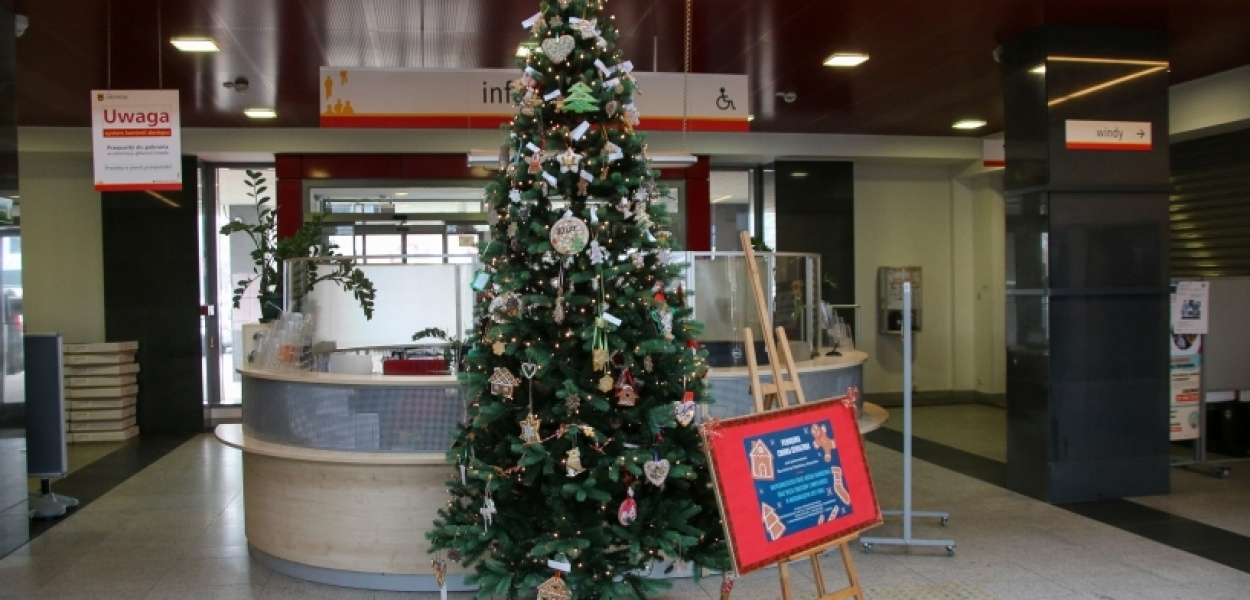 Choinka w urzędzie dzielnicy już jest. W tym roku ozdoby są... jadalne