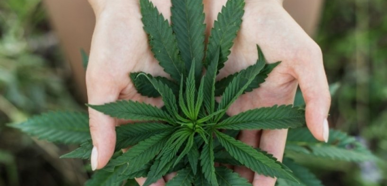 Czy marihuana lecznicza ma skutki uboczne?