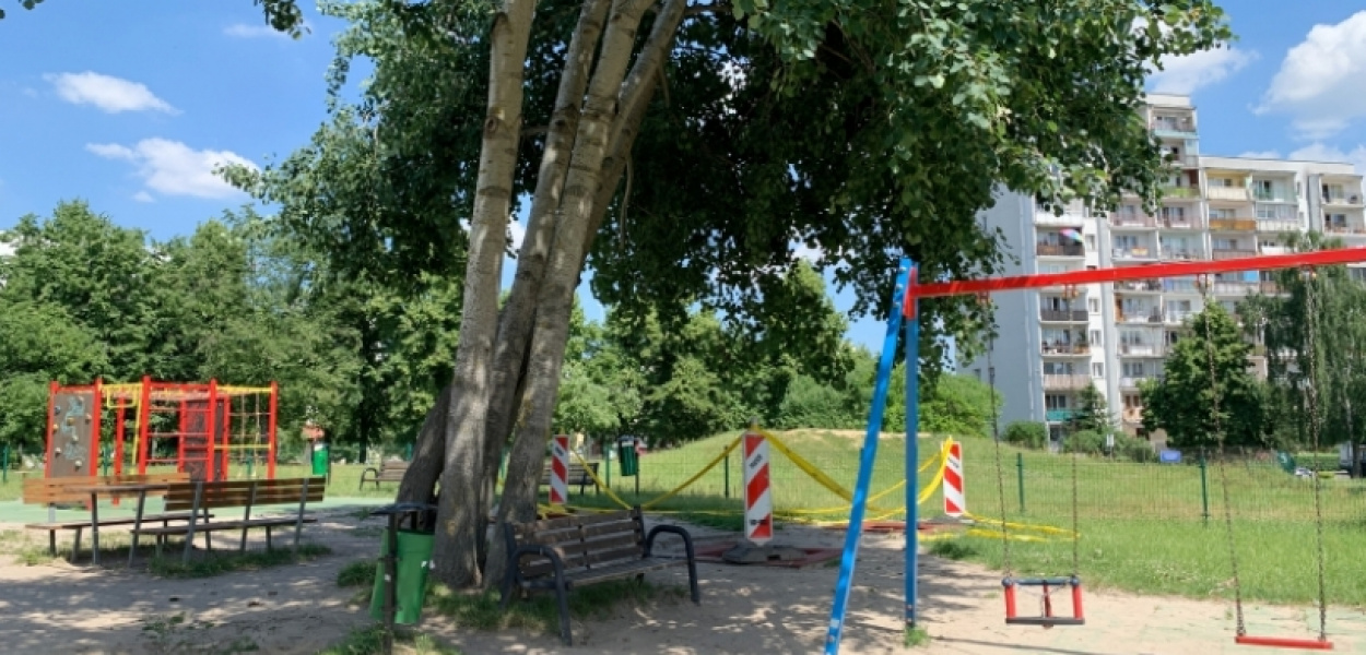 Przechylone drzewo na placu zabaw zagrażało dzieciom