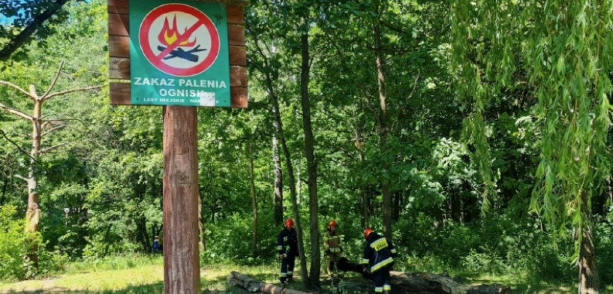 Pożar na polance w Powsinie. Leśnicy: Liczba patroli niewystarczająca