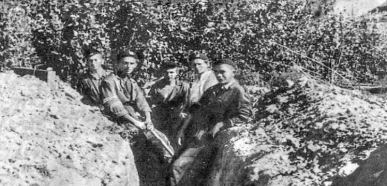 domena publiczna