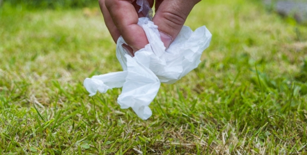 Wszystkie ręce na pokład! Wiosenna akcja sprzątania