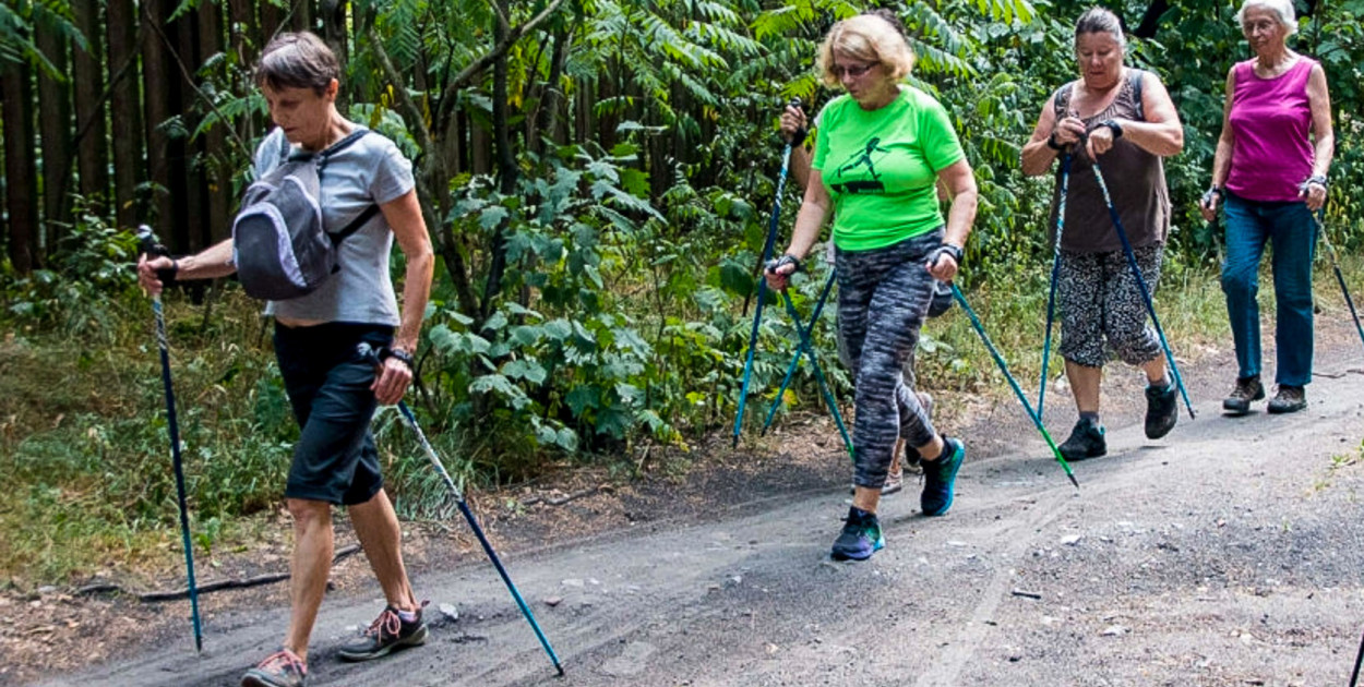 Seniorzy do kijków! W sobotę bezpłatny nordic walking