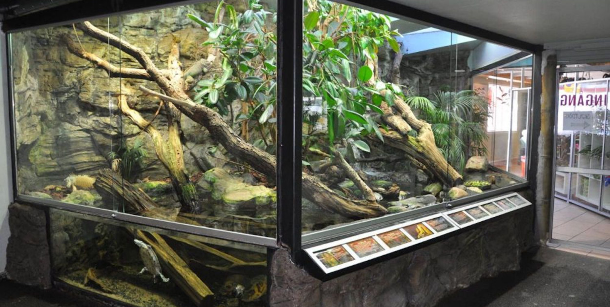 Wprowadzenie do terrarystyki