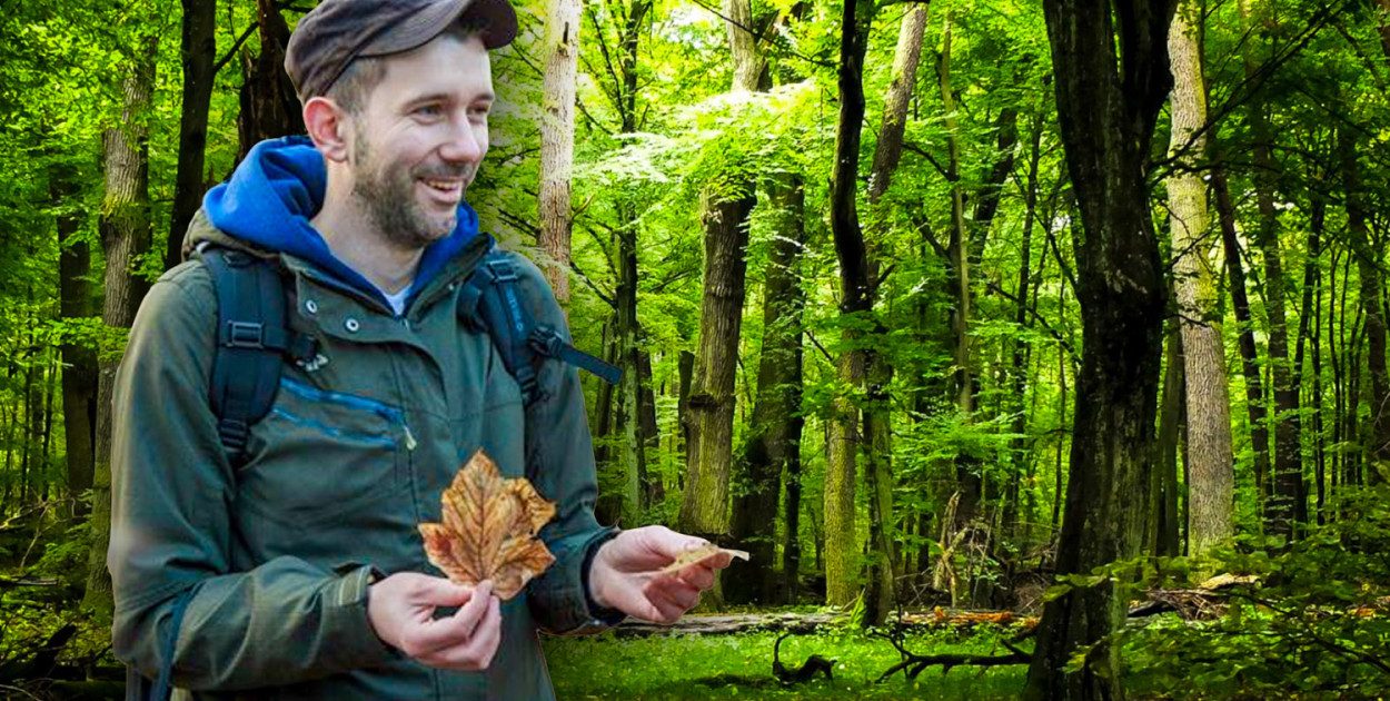 To zwierzęta są gospodarzami w lesie. My tylko gośćmi! [WYWIAD]