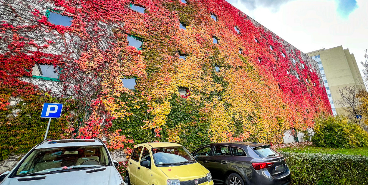 Najbardziej instagramowe miejsce na Ursynowie! FOTO