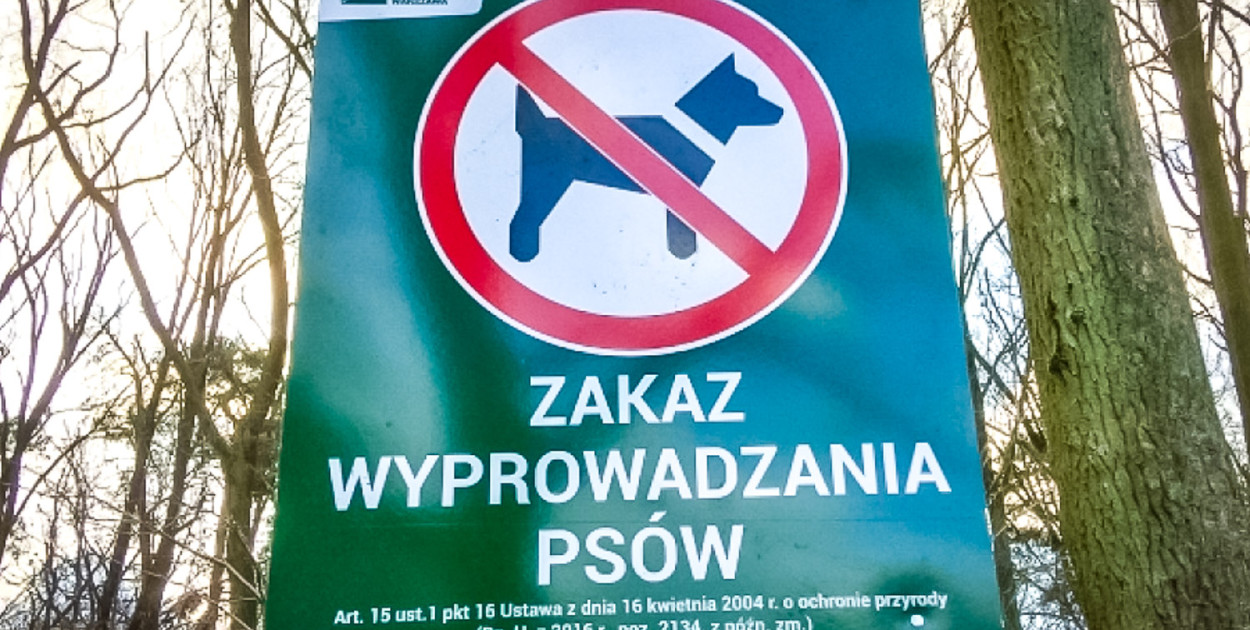 Psy w Lesie Kabackim. Gorący spór trwa! Zakaz do likwidacji?