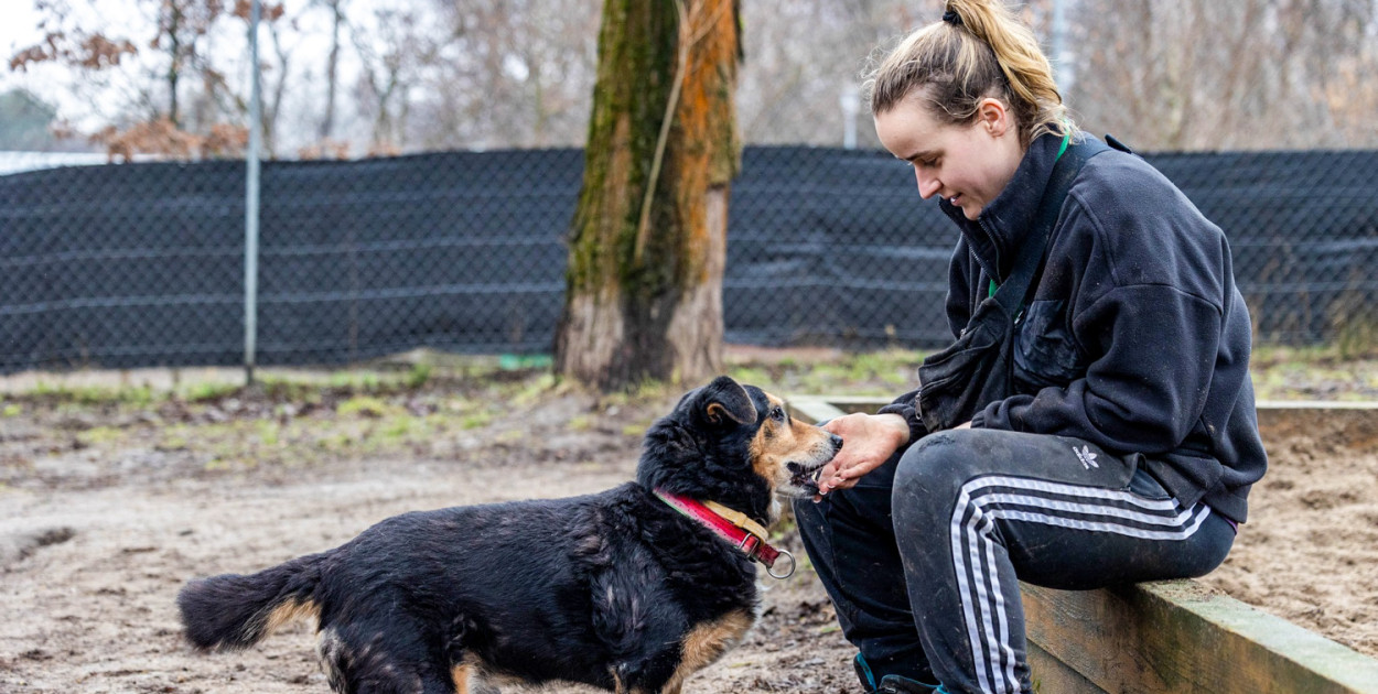 Spotkanie pełne miłości i dobroci! Zostań wolontariuszem w schronisku 
