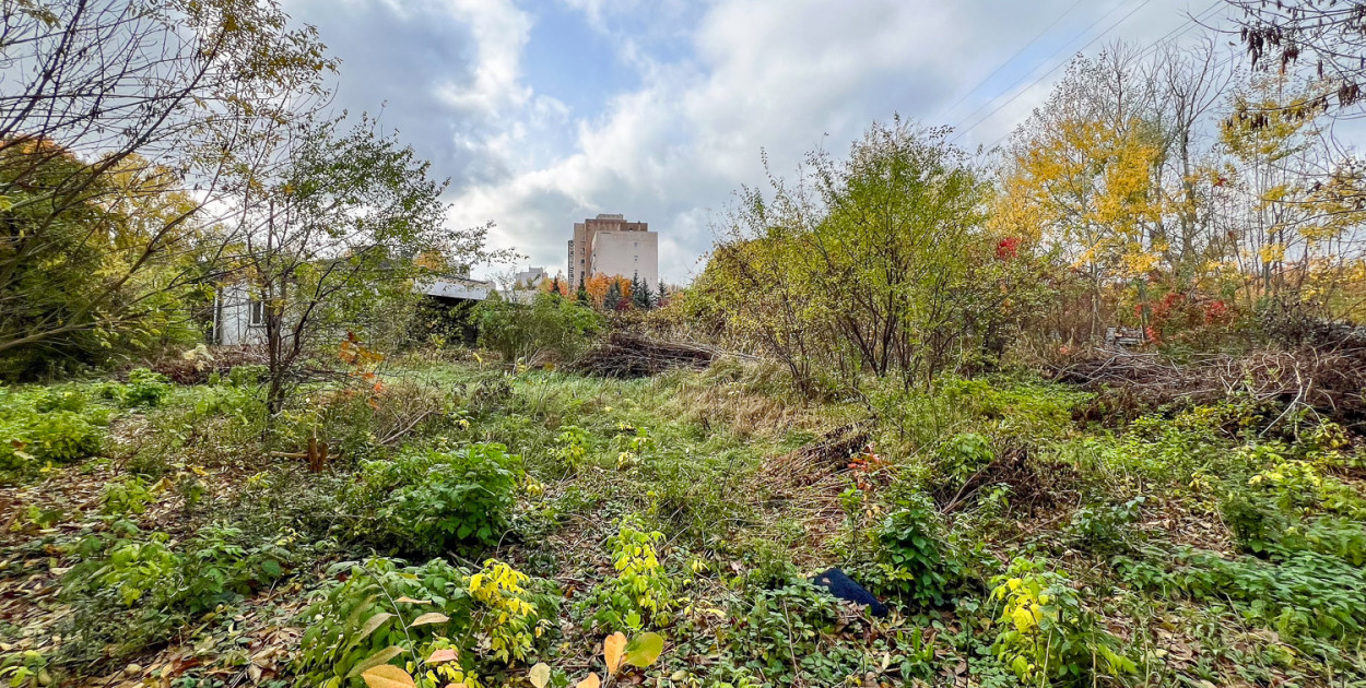 Zaniedbany teren z kortami na Ciszewskiego. Co czeka sąsiadów?