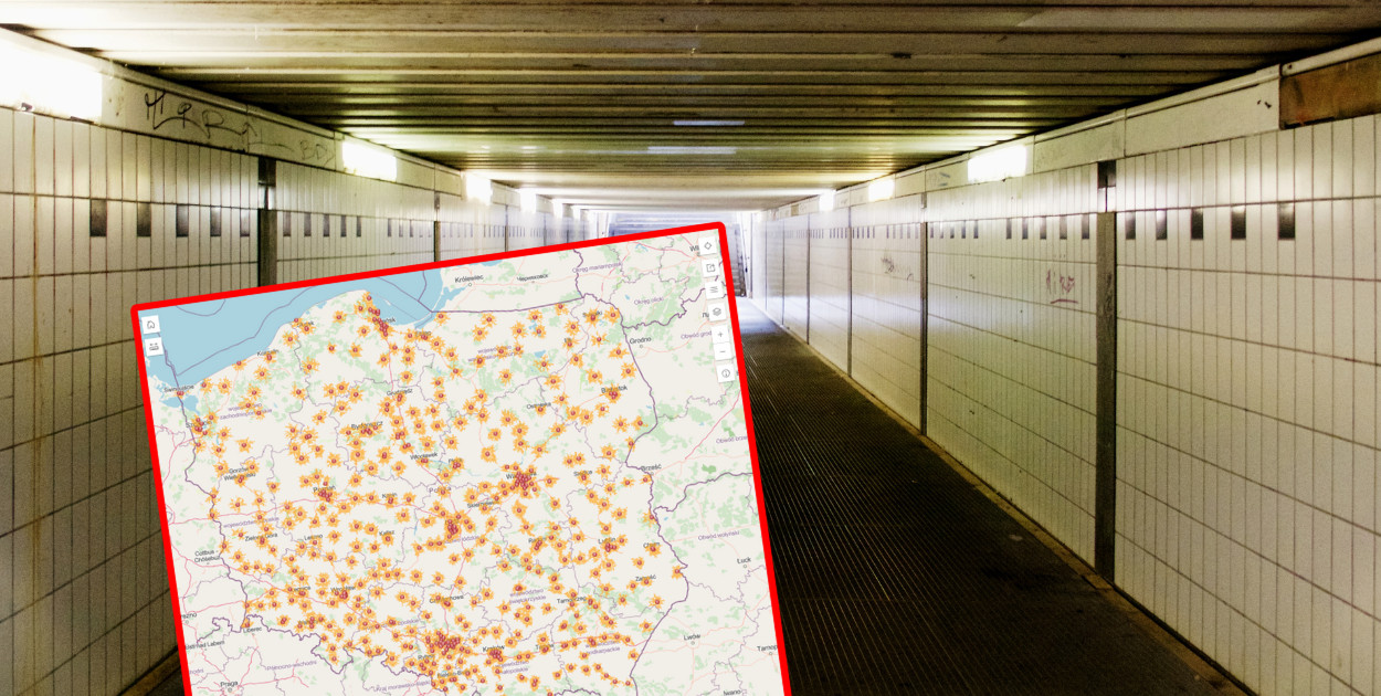 Fot. Canva / Zrzut ekranu Schrony PSP