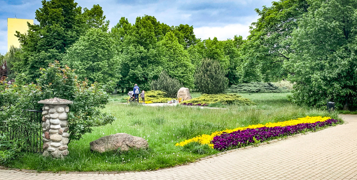 "To były najszybciej posadzone drzewka!". Tak powstawał park Jana Pawła II
