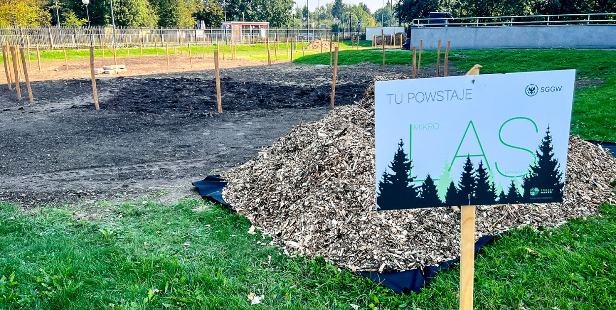 Pierwszy las Miyawaki na Ursynowie. W środę sadzenie!