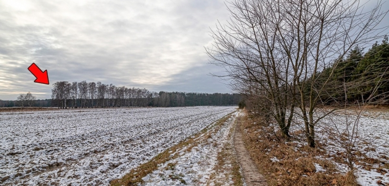 CBŚP