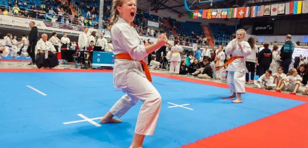 Akademia Sportu i Karate