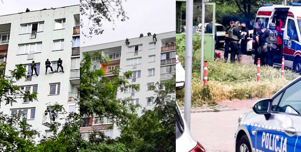 od czytelnika