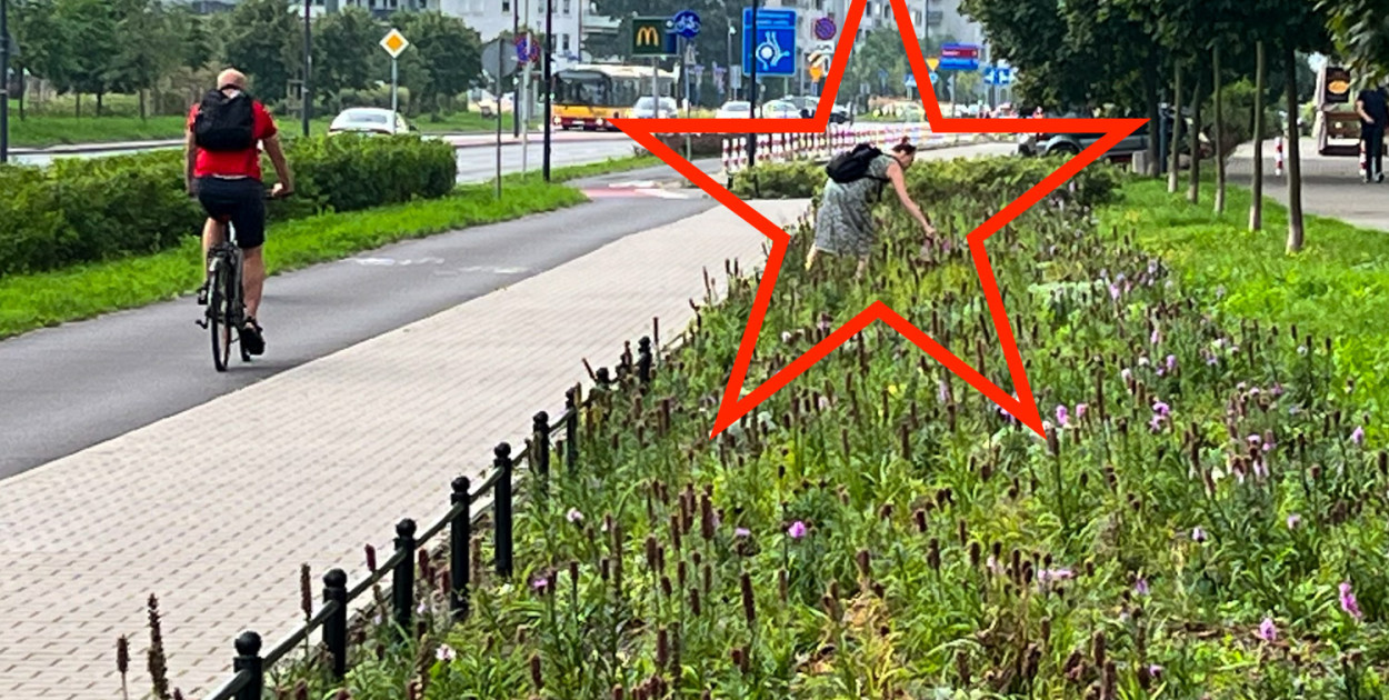 nadesłane
