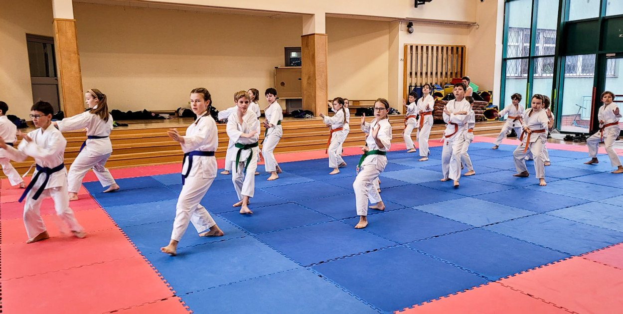 Facebook - Akademia Sportu i Karate w Warszawie