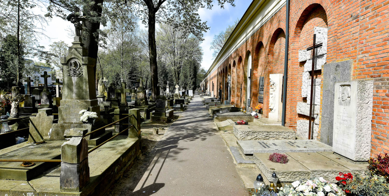 Aleja Zasłużonych na Starych Powązkach, foto: Adrian Grycuk