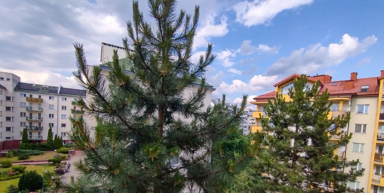 Nadesłane