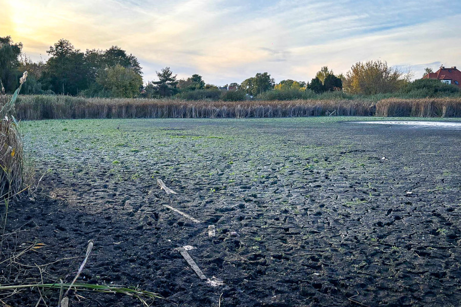 Stan jeziorka w pierwszej dekadzie października 2025 - nadesłane