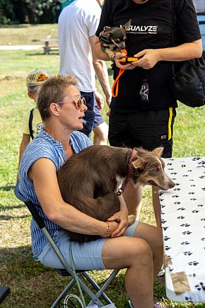 Piknik Zwierzęta w wielkim mieście-5853