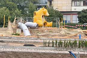 Tak wygląda dziś przyszły Park nad POW-5905