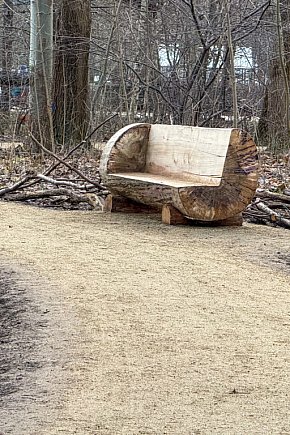 Tak wygląda lasek Przy Bażantarni po zmianach-6131