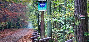 Ursynowski rezerwat skrywa trasy piesze. Dokąd prowadzą