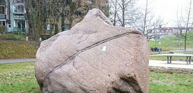Głazy - niby nic specjalnego, ale tylko z pozoru. Są na Ursynowie od 130 tys. lat!-16274