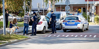 Uwięziony pies w samochodzie na Ursynowie. Interweniowała policja-30888