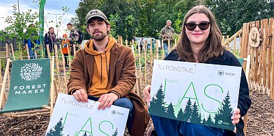 Kieszonkowy las powstał na Ursynowie. "Dla ptaków i dla wagarowiczów"-31108