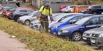 Koszą trawę w grudniu! Dziwne praktyki na Dereniowej-32444